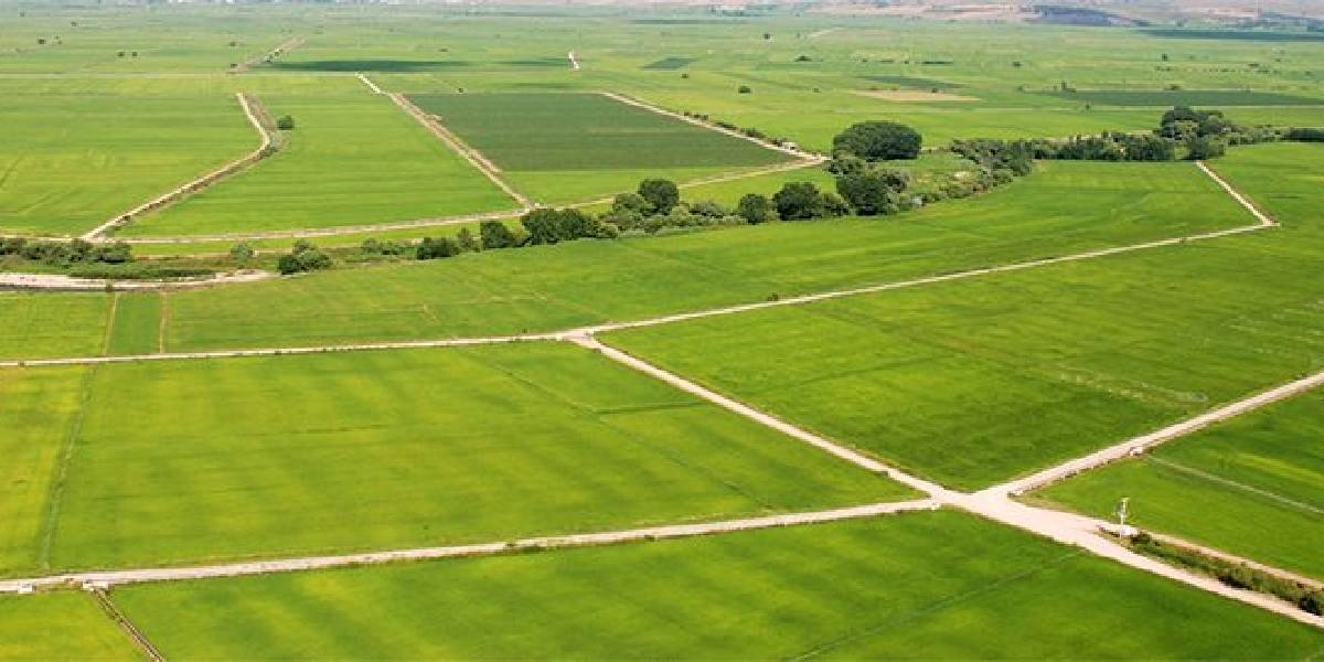 Ecrimisil Nedir? Haksız İşgal Tazminatı Davası Nedir? 2025